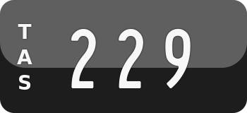 229