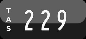 229