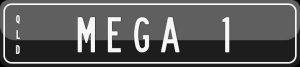 MEGA 1