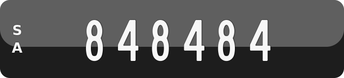 848484