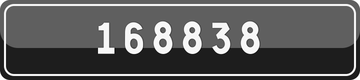 168838
